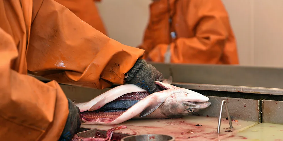 Silver Bay is hoping its investment in workers will pay off through higher retention and greater output, but whether the rest of the industry will follow its lead is yet to be determined.