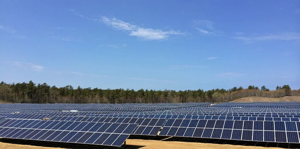 A solar array built by EDF-RE in Massachusetts