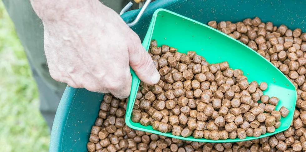 French feed producer aims to double production following plant acquisition. Le Gouessant.