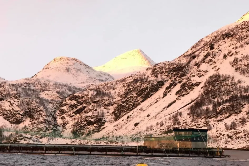 Cermaq Storholmen site