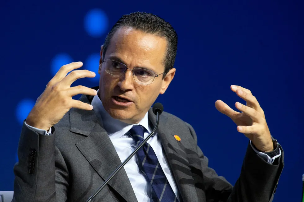 Shell chief executive Wael Sawan.