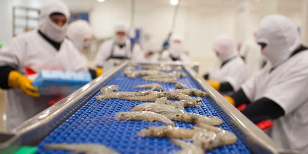 Ecuador's shrimp industry lost an estimated $1 billion (€942 million) so far this year because of a collapse in wholesale prices in key world markets.