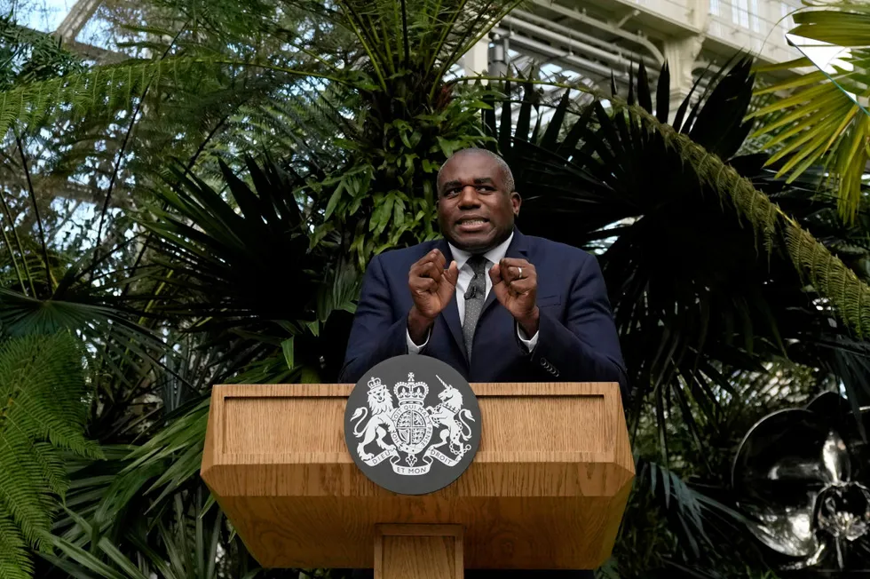 Britain's Foreign Secretary David Lammy, gestures while speaking about climate and environment policy at Kew Gardens on September 17, 2024 in London, England.