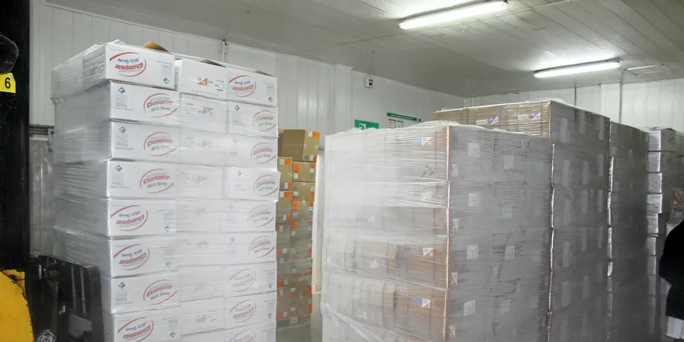Ecuador shrimp processing plant.