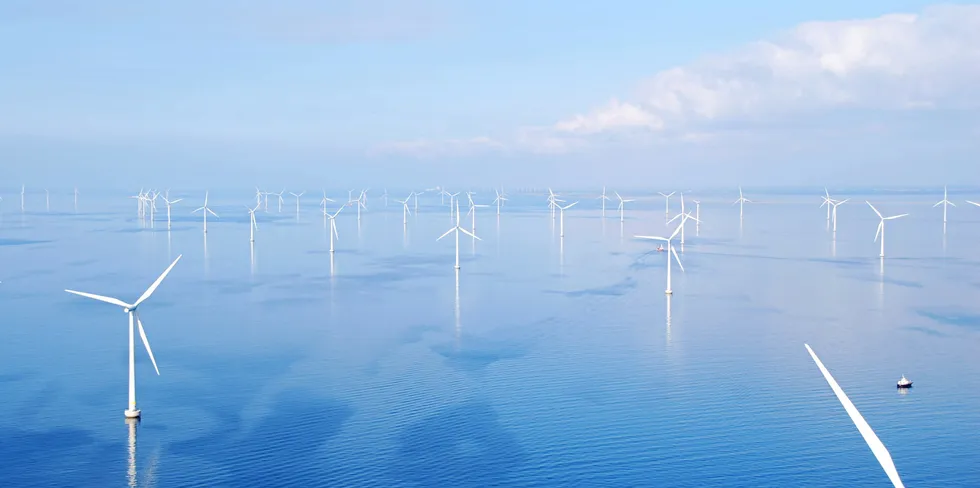 . RWE's Rodsand 2 offshore wind farm in the Danish part of the Baltic Sea.