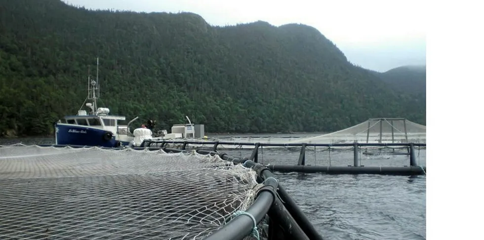 Northern Harvest has had several licenses suspended following a massive fish die-off.