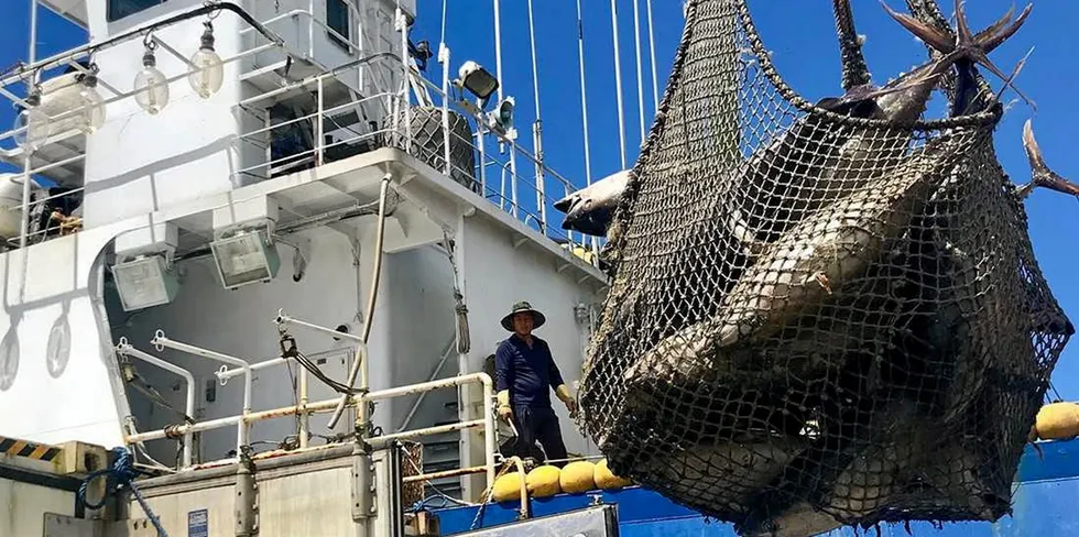 Can a new investment fund spur advances in fishery improvement projects?