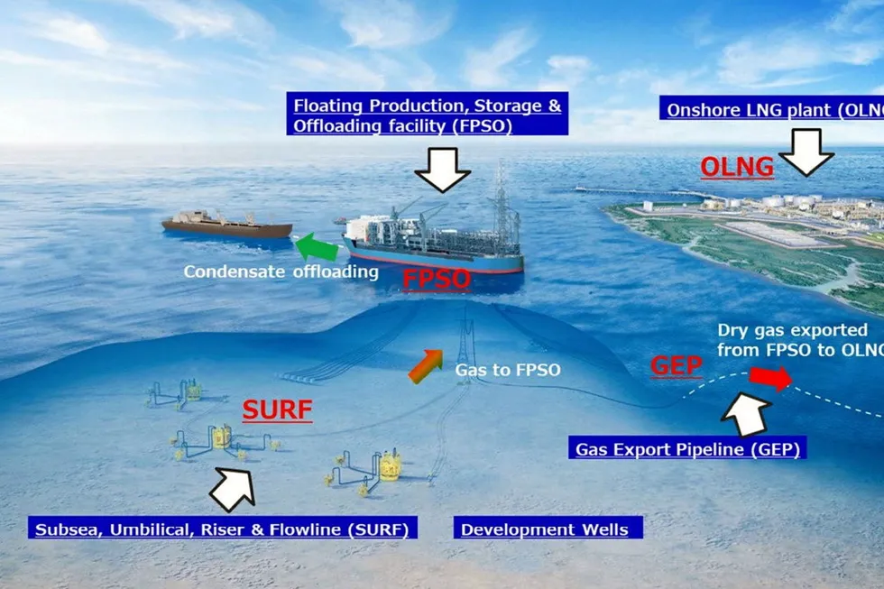 Progressing: the Abadi giant gas field development
