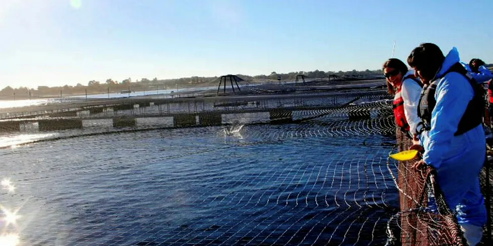 Mainstream Cermaq Chile salmon farm