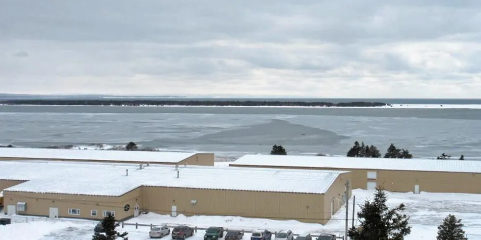Mowi's Northern Harvest hatchery in NL has been trying to expand for several years.