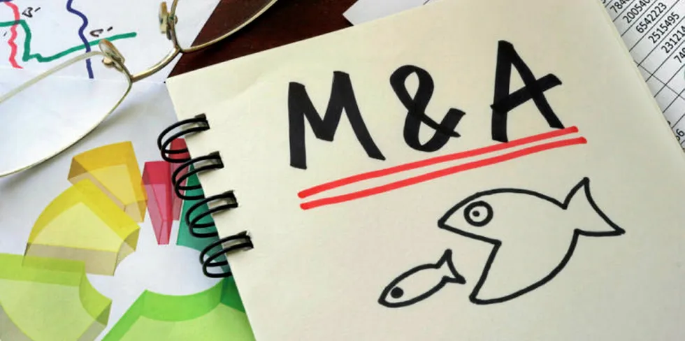 Despite a very coronavirus-stricken year for all industries, more than 30 seafood-related deals were inked in the first four months of 2020, proof of the sector's resilience.