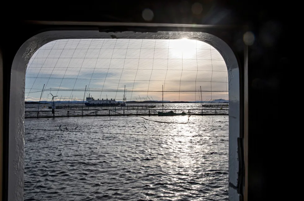 Next year the government will propose a completely new management system for the Norwegian aquaculture industry.