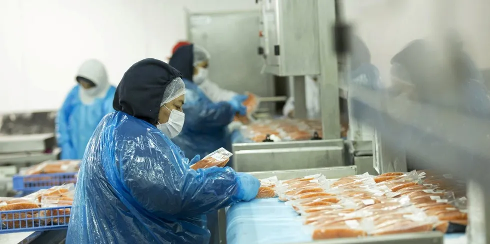 Salmones Austral swung into positive earnings territory in 2021.