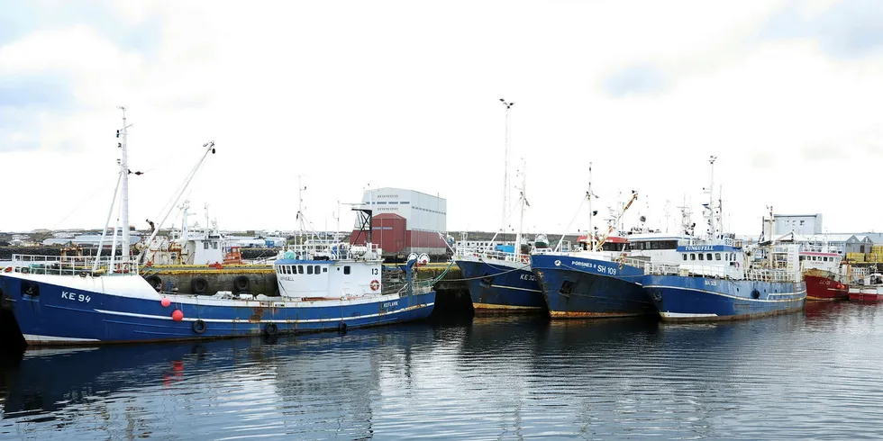 Icelandic fishing vessels in Reykjavik.