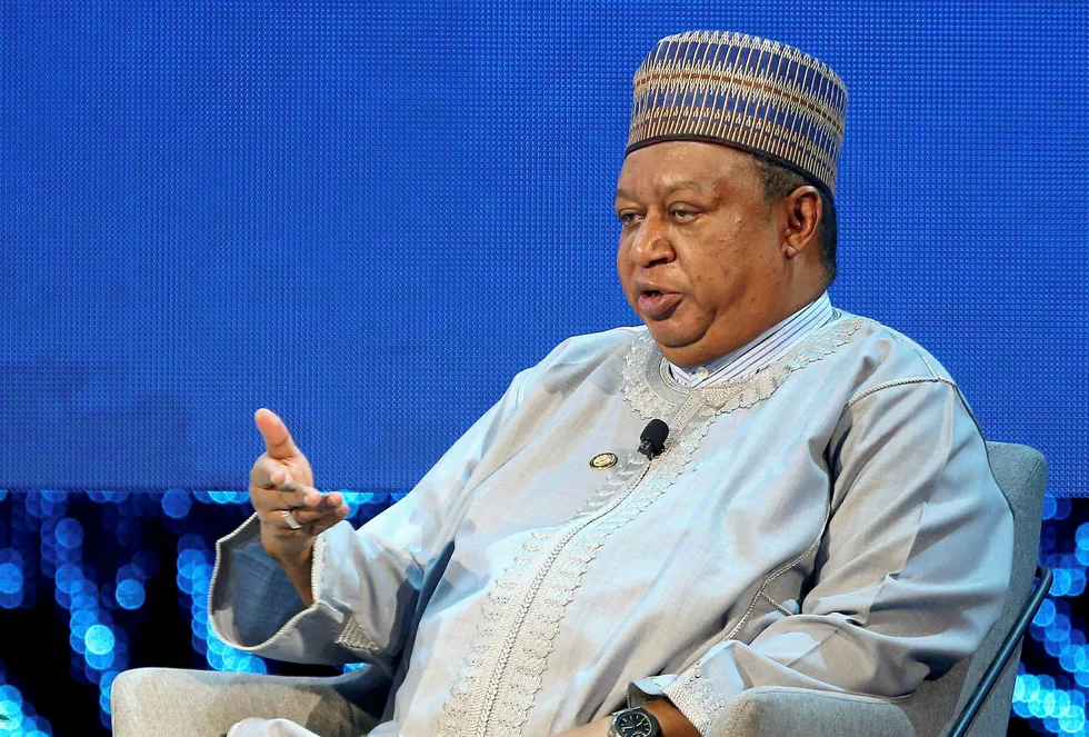 Output decisions: Opec secretary general Mohammed Barkindo