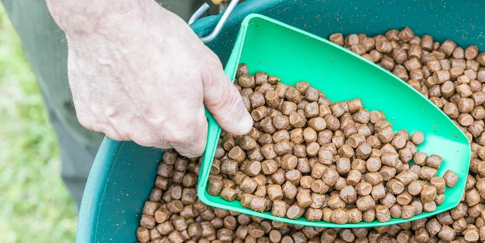 The global supply chain is more challenged now than during the earlier stages of the pandemic, Skretting Innovation Director Salmon May-Helen Holme said during the North Atlantic Seafood Forum 2022.