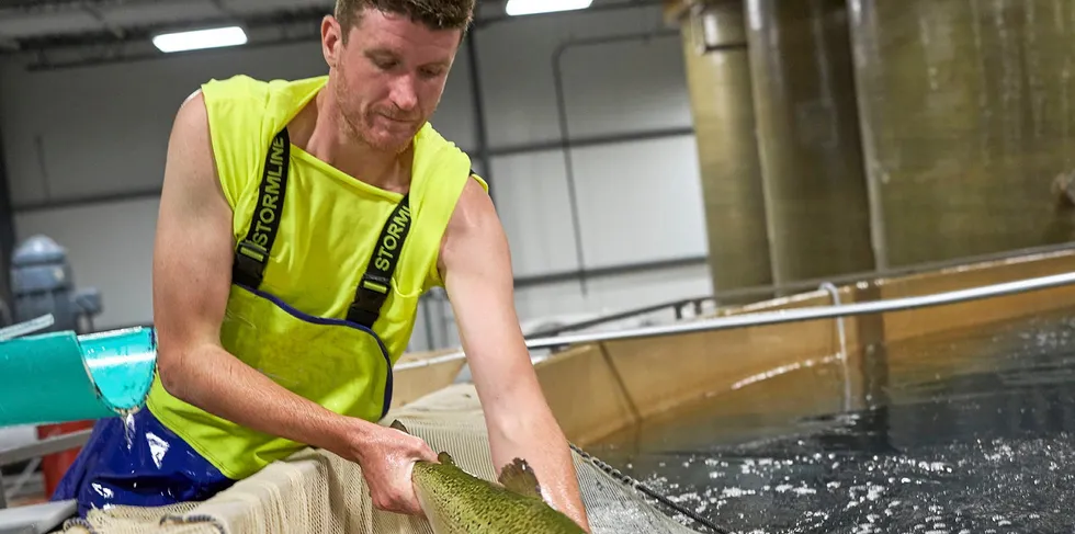 AquaBounty's 2021 revenue rose to $1.17 million from $128,000 the previous year.
