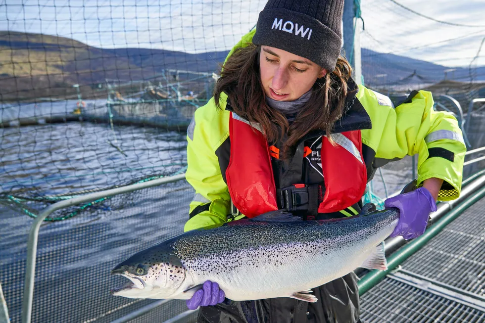 Mowi is shifting production from a Scottish site it has been using for decades to two new sites about 90 miles to the south