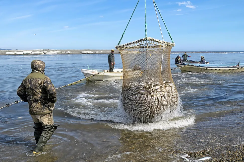 Russia is seeking new seafood markets to mitigate the effect of sanctions.