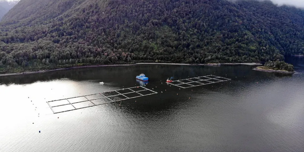 It was a difficult quarter for Chilean salmon farmer Blumar.