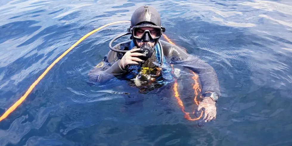 Salmon frequently escape when structures or pen netting is compromised leaving contracted divers to carry out repair work.