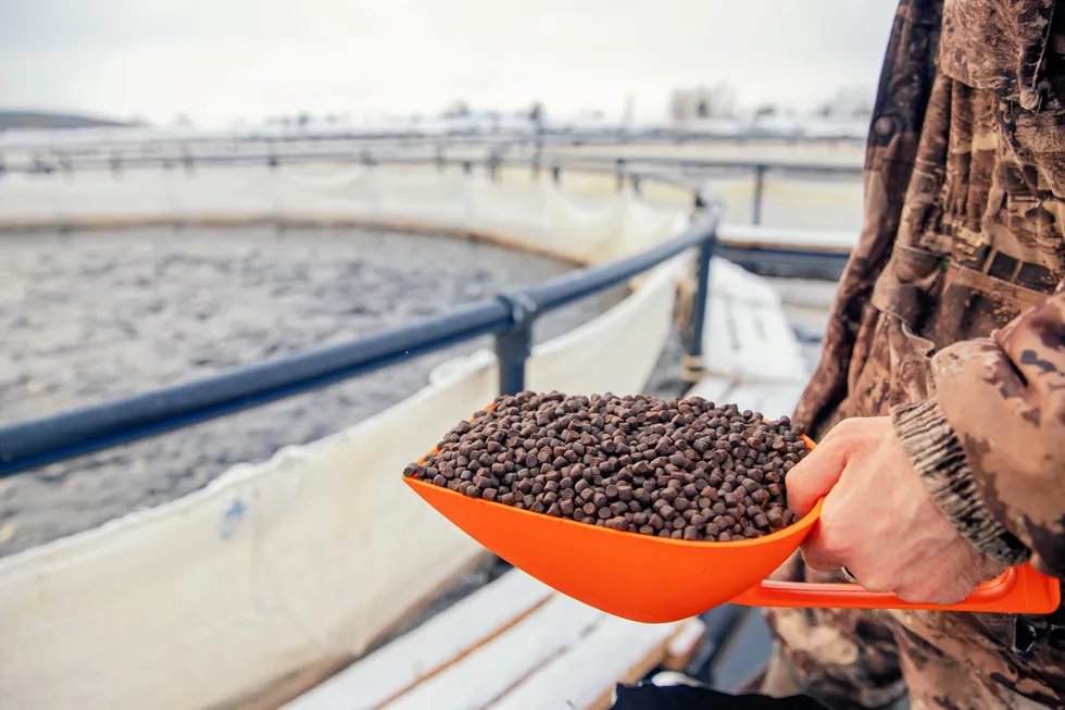 The Norwegian Seafood Research Fund has launched a project to look into the digestibility of the chicken meal for salmon and, crucially, to analyze consumer perceptions.