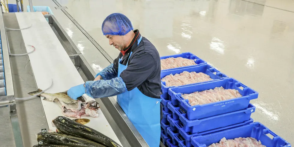 Dutch and other European processors urge continued smooth trade.