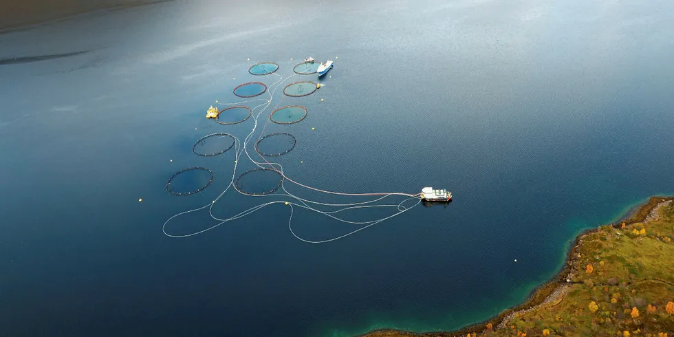 A salmon farming site at Grieg Seafood Finnmark in Northern Norway. The company reported an outbreak of the deadly infectious salmon anemia (ISA) virus last week.