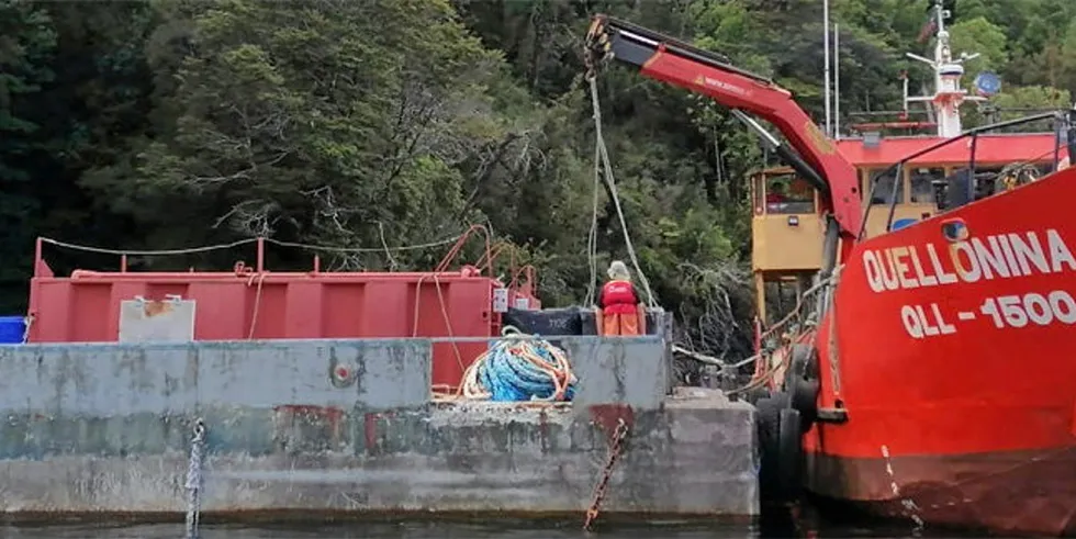 Chilean algal bloom costs are already mounting in 2022.
