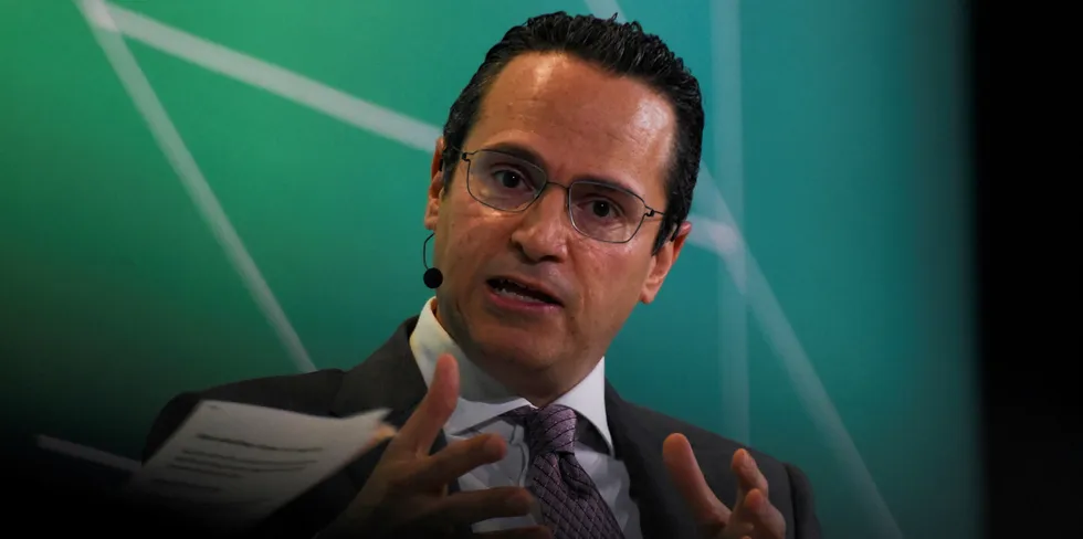 Shell chief executive Wael Sawan.
