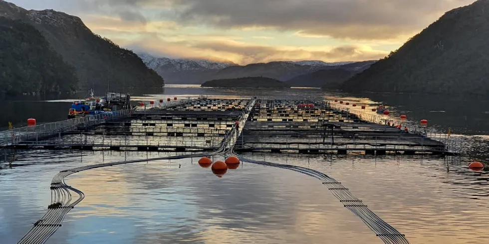 Faced with operational challenges and liquidity constraints, Nova Austral has been unable to meet its financial obligations and working capital requirements without receiving additional funding.