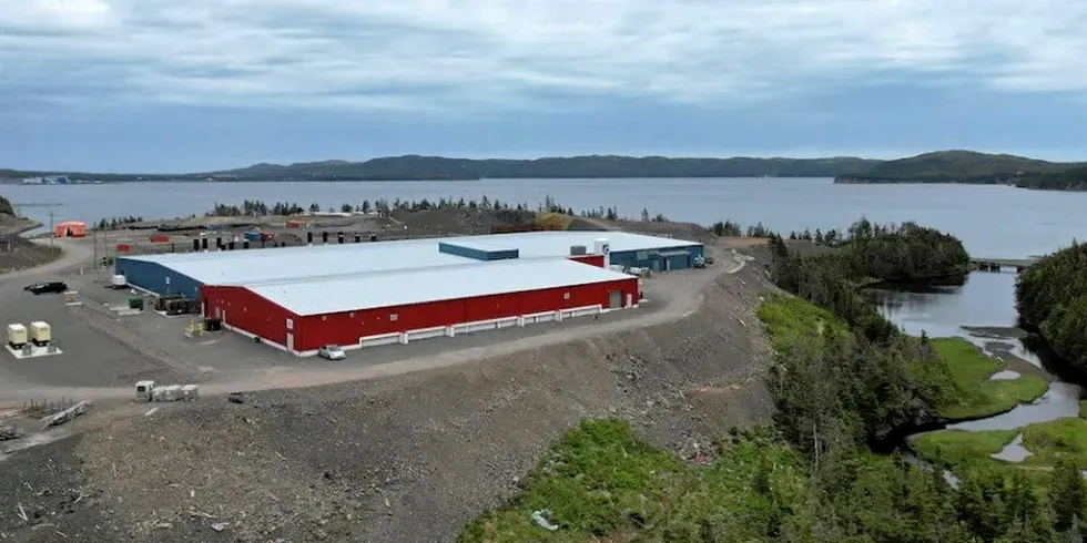 Grieg Seafood Newfoundland is planning to produce 5,000 metric tons of salmon through 2023.