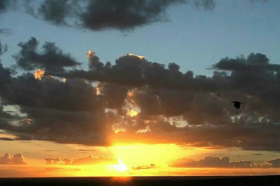 New dawn for Flax: Red Sky believes it can bring the suspended oil and gas field back online within six months