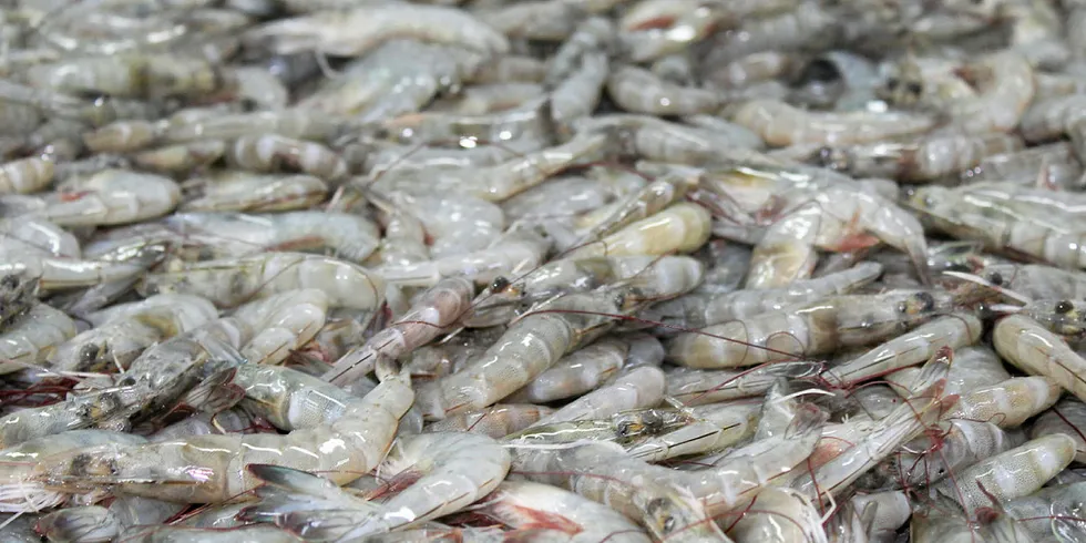 Week's top headlines: First land-based smoked salmon hits market; China lifts Ecuador shrimp bans; High Liner playing on offense