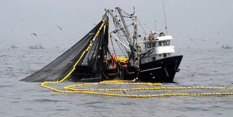 Could 2021 be another strong year in Peru? The fishmeal and oil sector certainly hopes so.