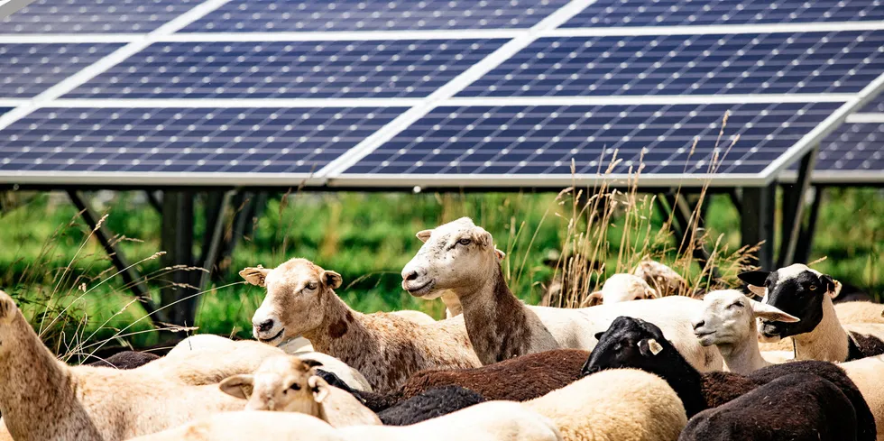 The six projects will be spread across France, Spain, Germany, Italy and the Netherlands,