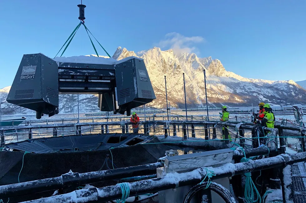 With iFarm, Cermaq has developed a technology that uses image recognition to improve fish health.