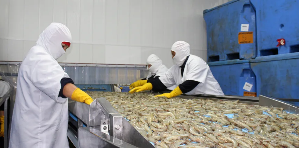 Orders from Spain and Italy helped underpin Ecuador's exports last month.