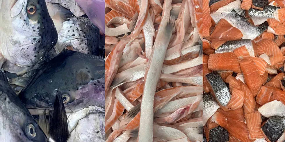 Mowi Consumer Products UK will supply Ideal Foods with fish byproducts including salmon heads, bellies and collars.