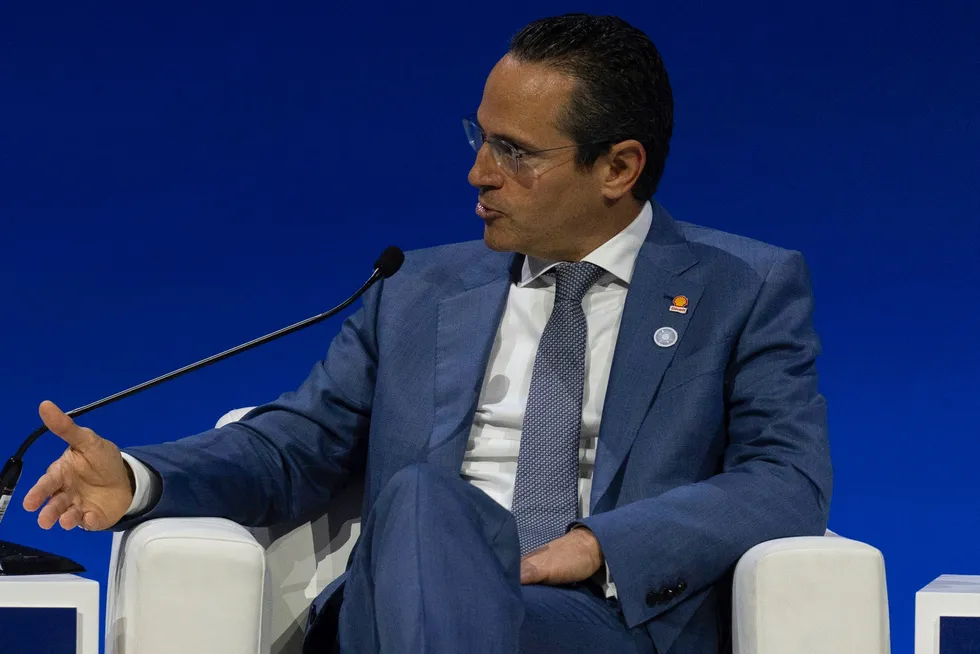 Shell chief executive Wael Sawan.