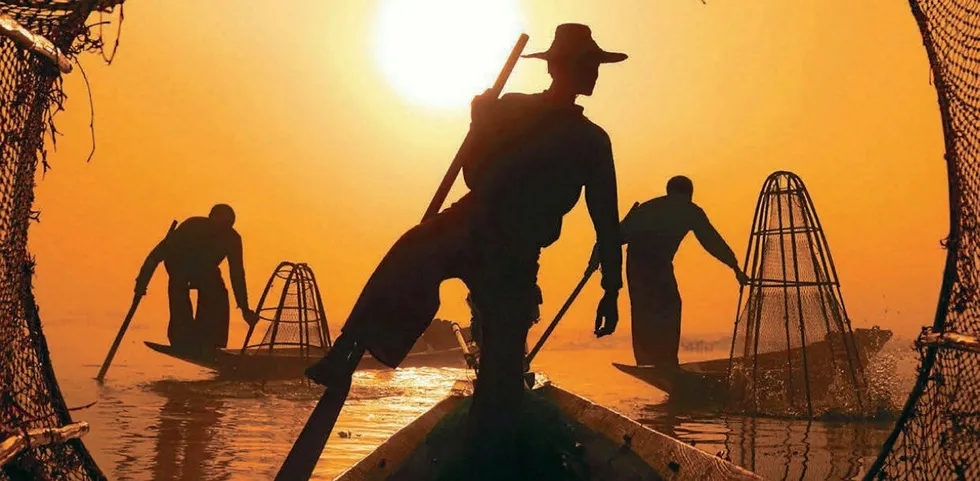 FishWise has a new sustainability division.