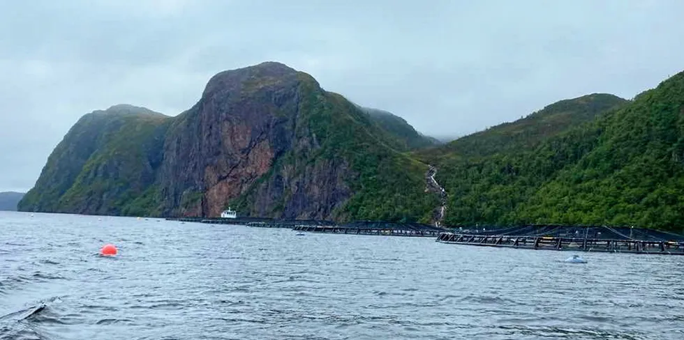Mowi Canada East has experienced numerous ISA events through 2022. The company euthanized more than 2 million fish in March at one of its Newfoundland sites due to the virus.