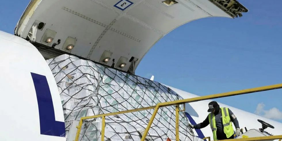 The onset of the fruit harvesting season in South America could restrict space for Chilean salmon on cargo planes.