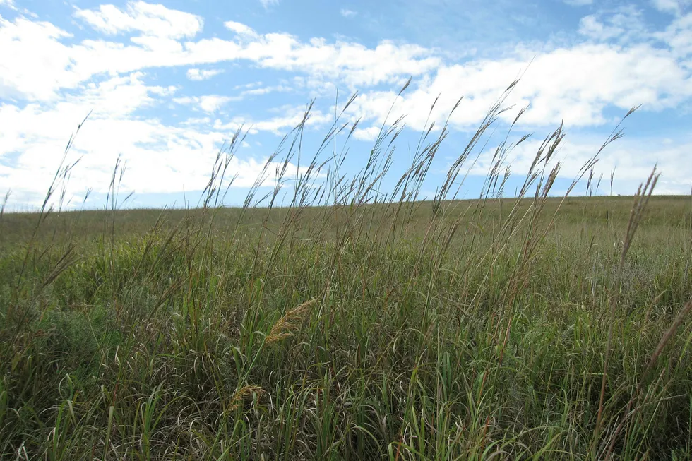 Tallgrass: Blackstone offers to buy up outstanding shares at 35.9% premium
