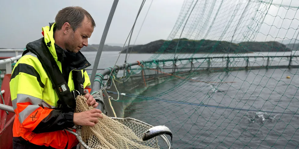 Norway Royal Salmon site.