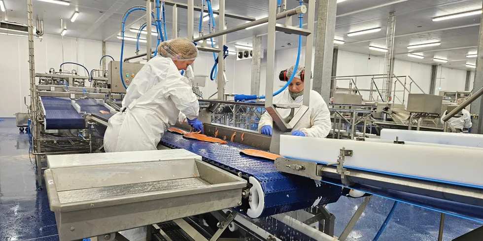 "It is very quiet so far. Trade tends to happen quite late on Fridays now, but the little I have heard is that the prices are a couple of kroner up from last week," a salmon farmer said.