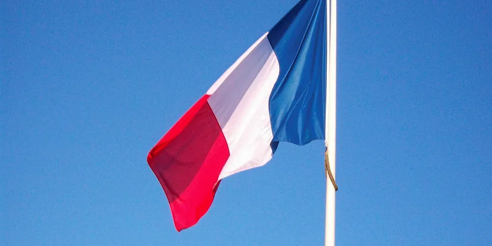 French flag.