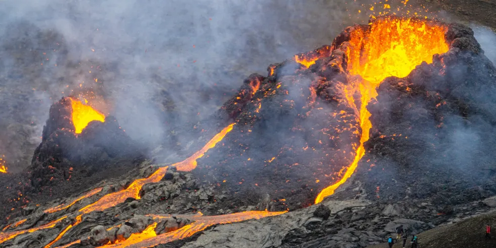 Iceland has declared a state of emergency after a series of earthquakes on the Reykjanes peninsula, and the Icelandic Meteorological Office (IMO) said there was a considerable risk of an eruption.