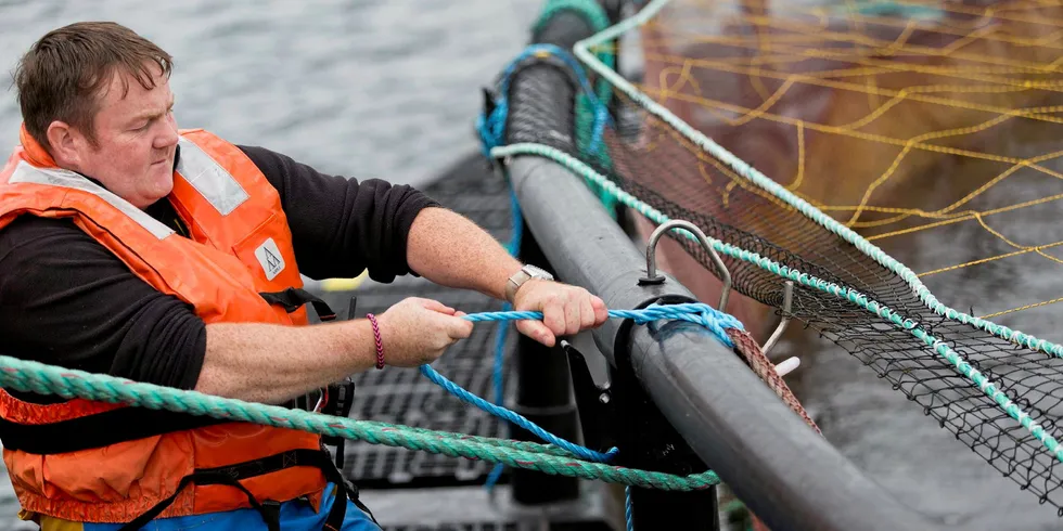 The Scottish salmon farming industry is a key player in the Scottish economy, but the regulatory framework it operates within has stunted growth.