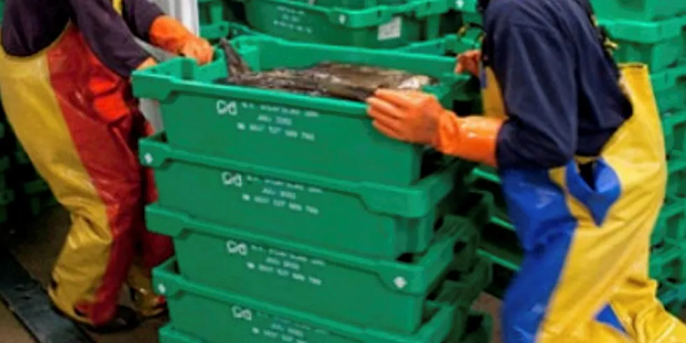 Dutch partner takes over van der Zwan trading arm business. Ekofish.